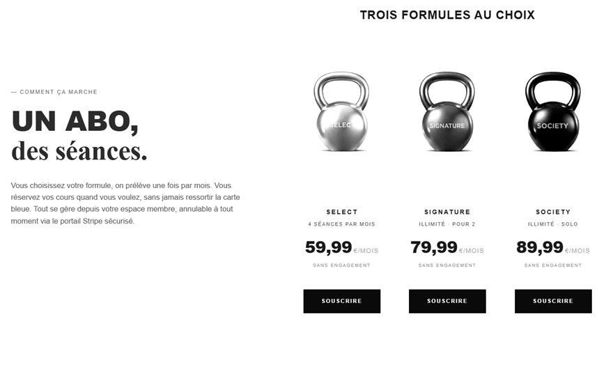 Page d'abonnements développée par Surtech pour Terra Studio : trois formules et paiement récurrent Stripe